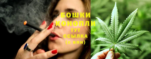спайс Дмитриев