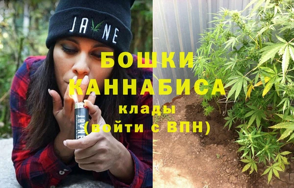 спайс Дмитриев