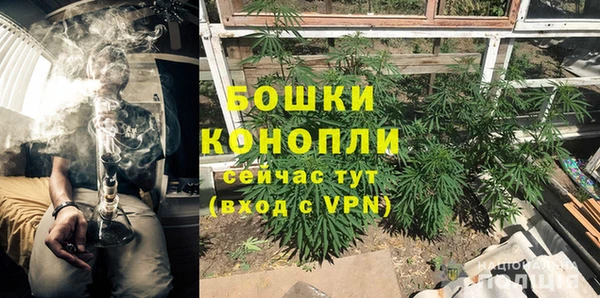 гидра Струнино