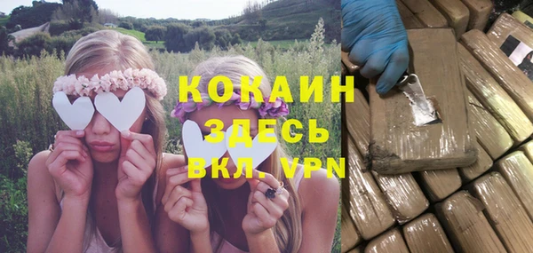 спайс Дмитриев