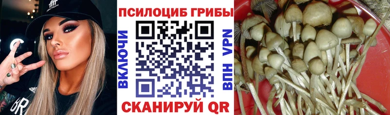 наркотики  это Telegram  Галлюциногенные грибы MAGIC MUSHROOMS  Астрахань 